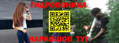 a pvp Вышний Волочёк