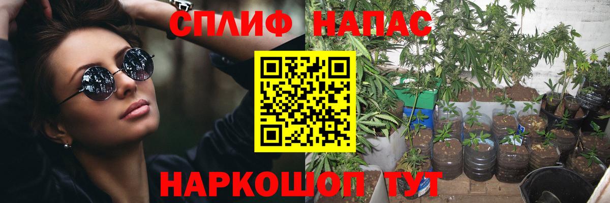 Белебей  МАРИХУАНА план  Вход с VPN  Марихуана сатива  Конопля гибрид 